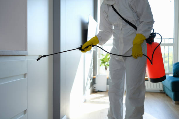 Best Attic Mold Removal  in Oreland, PA