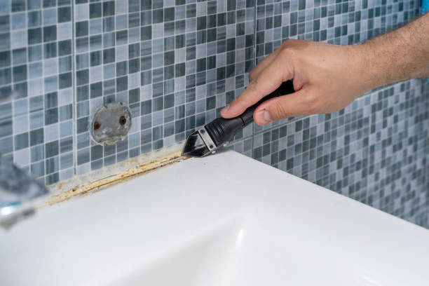 Best Mold Damage Repair  in Oreland, PA